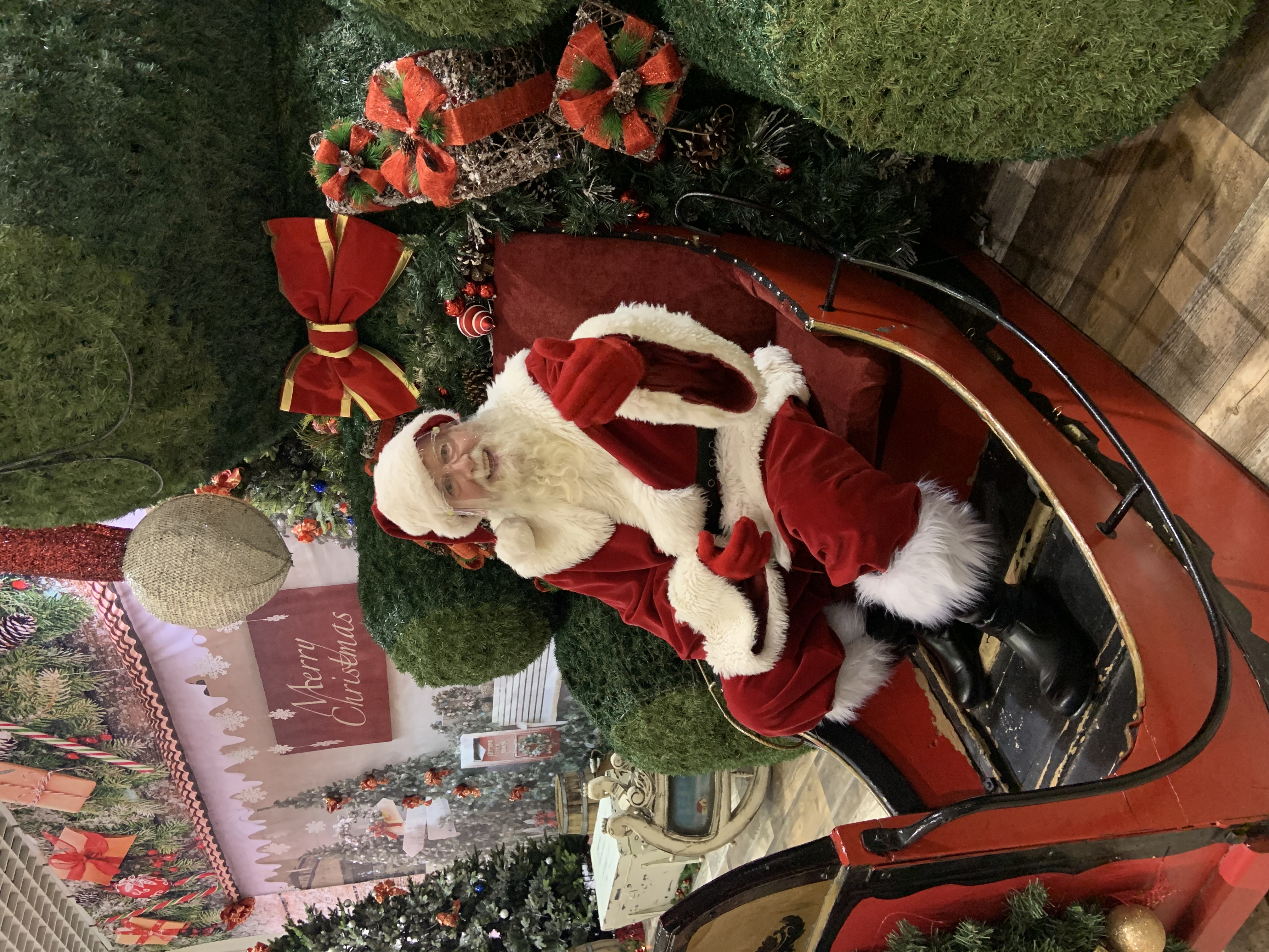 Tom dressed as Santa in a sleigh
