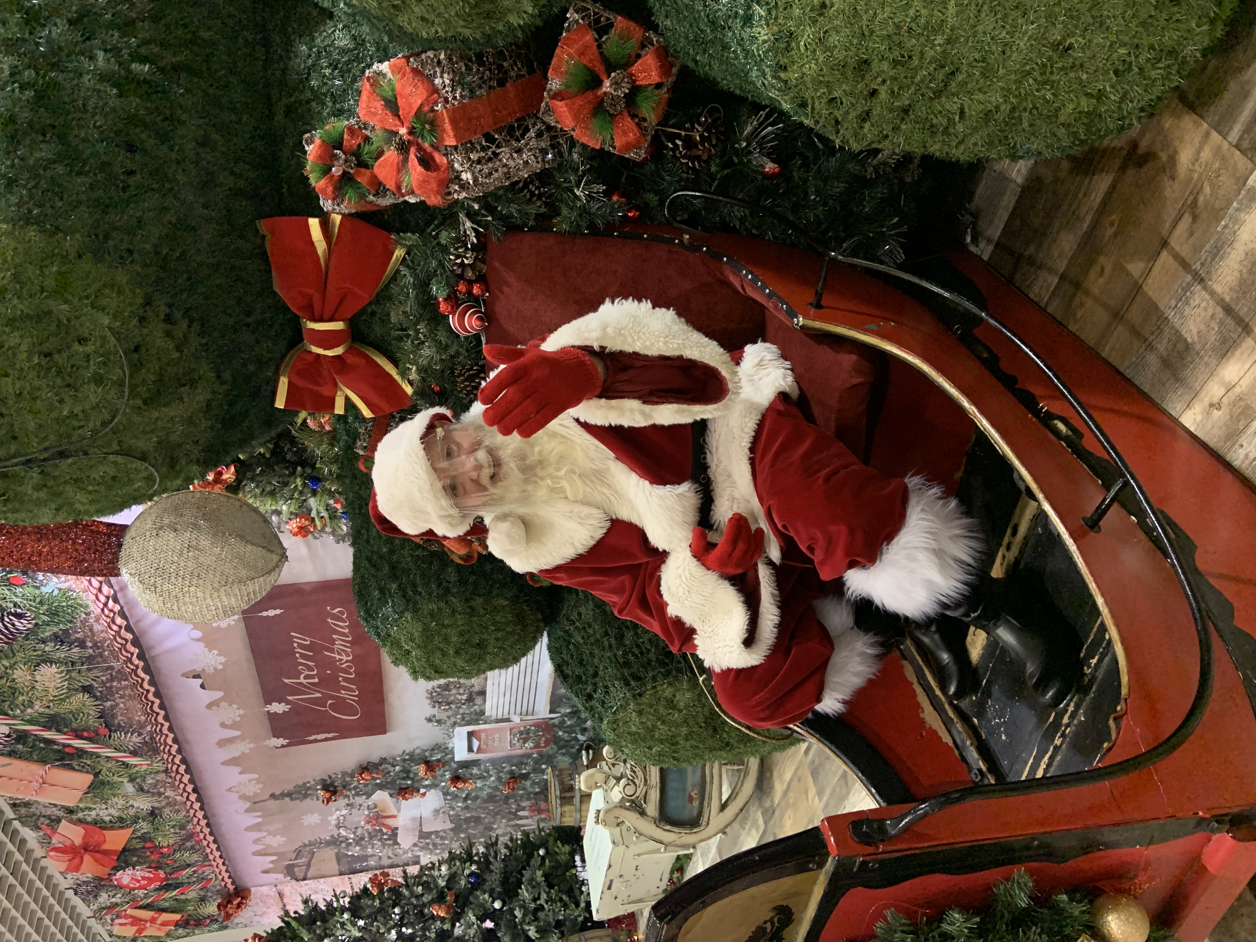 Tom dressed as Santa in a sleigh